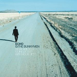 CD Shop - ECHO AND THE BUNNYMEN WHAT ARE YOU GOING TO ...