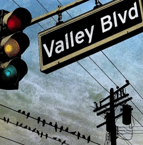 CD Shop - VARIOUS ARTISTS VALLEY BLVD