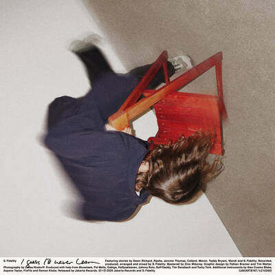 CD Shop - S. FIDELITY I GUESS ILL NEVER LEARN