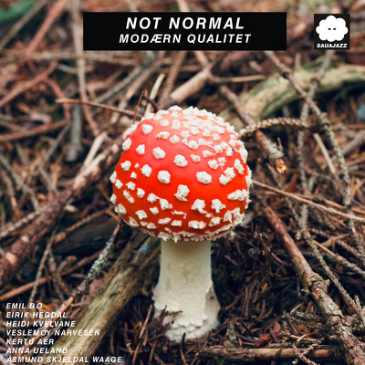 CD Shop - NOT NORMAL MODAERN QUALITET