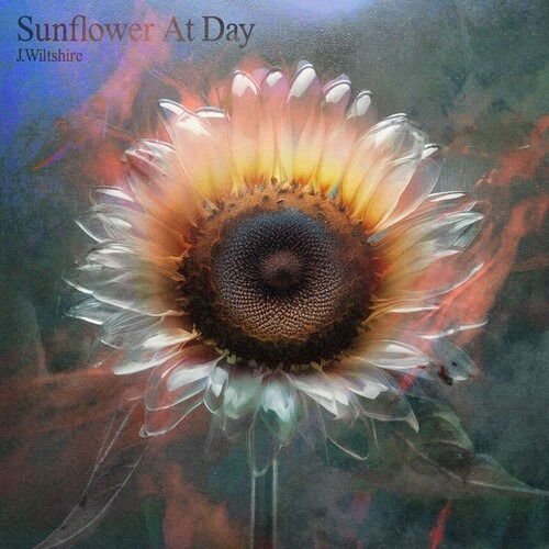CD Shop - J. WILTSHIRE SUNFLOWER AT DAY