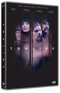 CD Shop - TRHLINA 