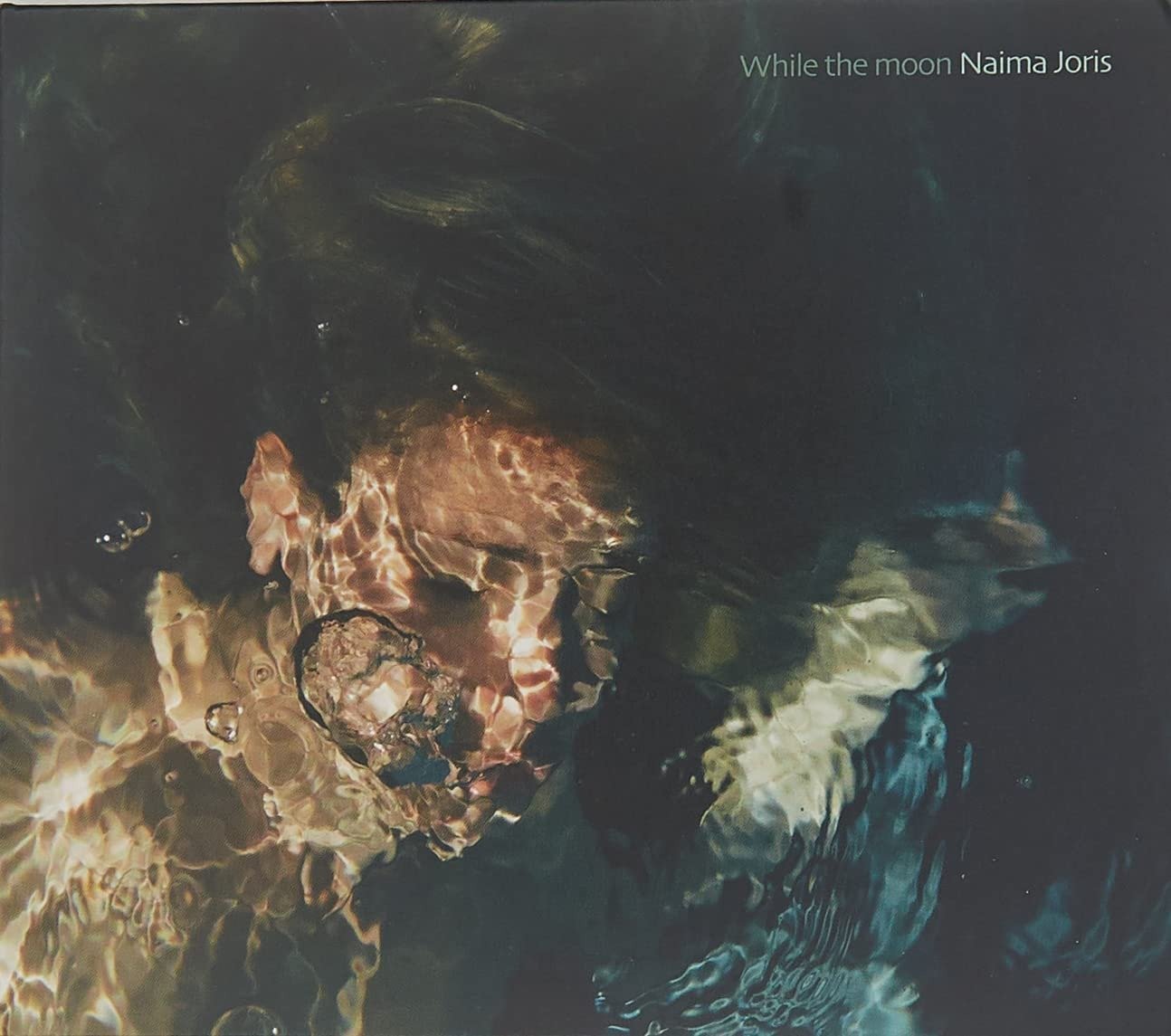 CD Shop - NAIMA JORIS WHILE THE MOON