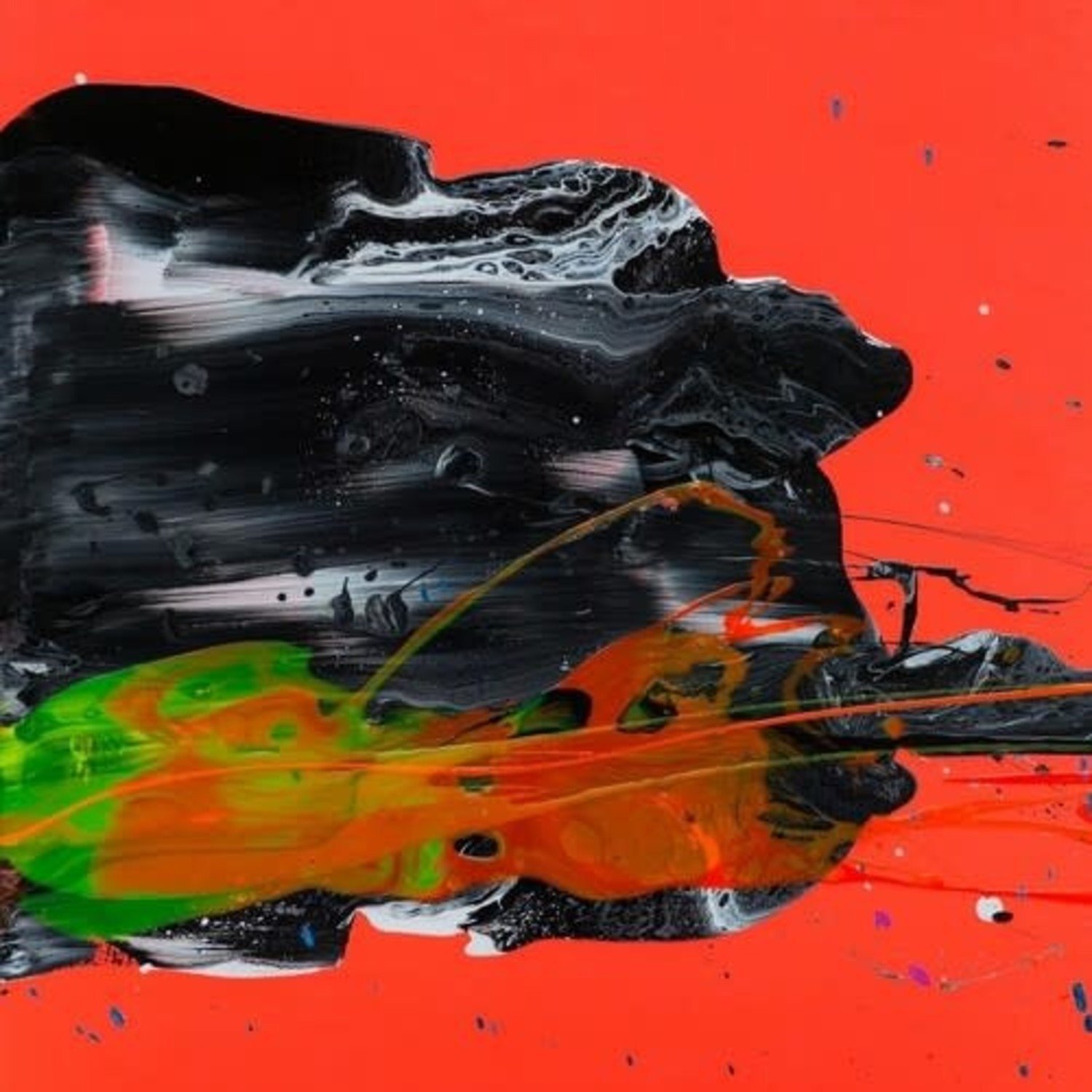 CD Shop - GOOSE UNDECIDED (BLACK &...