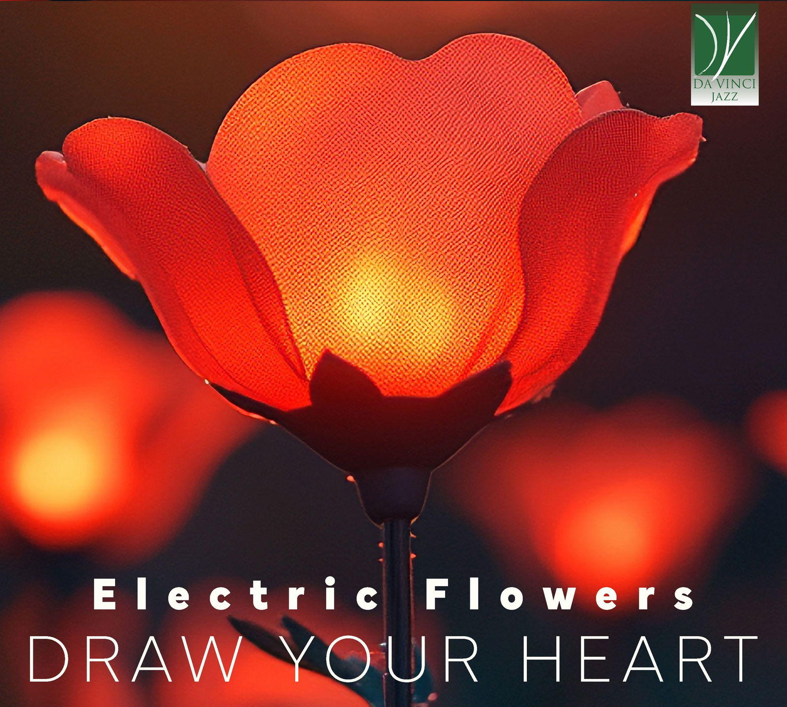 CD Shop - ELECTRIC FLOWERS DRAW YOUR HEART