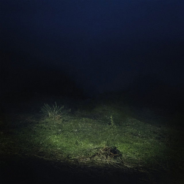 CD Shop - SEN SENRA PO2054AZ (VOL. II)