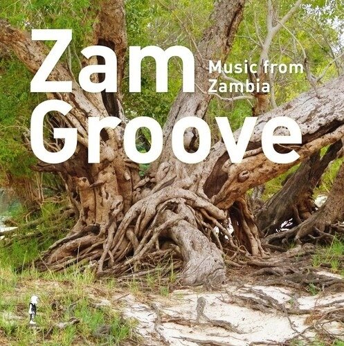 CD Shop - VARIOUS ARTISTS ZAM GROOVE: MUSIC FROM...