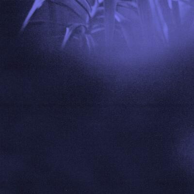 CD Shop - ASRA NOCTURNAL JOURNEY