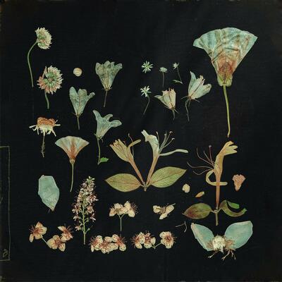 CD Shop - LEAVING LAUREL WHEN THE QUIET COMES