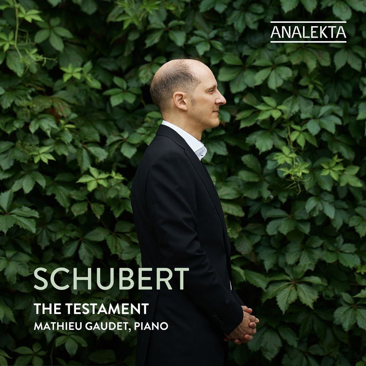 CD Shop - MATHIEU GAUDET SCHUBERT: THE TESTAMENT