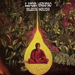 CD Shop - LUCA SAPIO BLACK WAVES