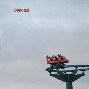 CD Shop - SENOGUL SENOGUL