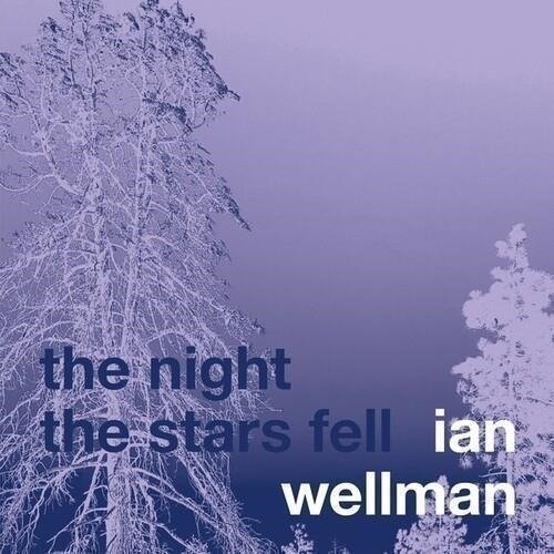 CD Shop - IAN WELLMAN NIGHT THE STARS FELL