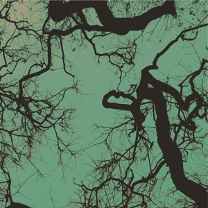 CD Shop - FOLLAKZOID FOLLAKZOID (GALAXY GREEN)
