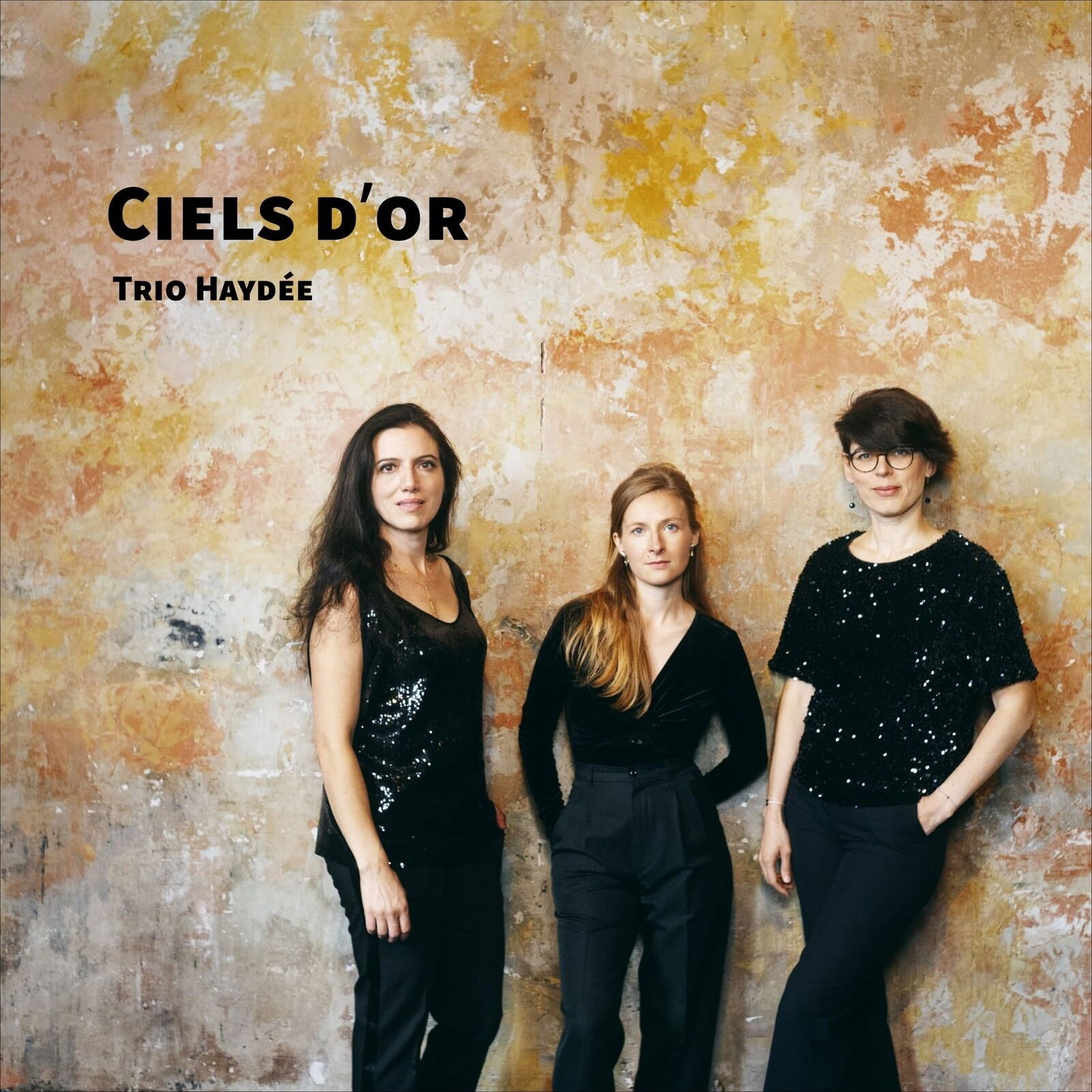 CD Shop - TRIO HAYDEE CIELS D\