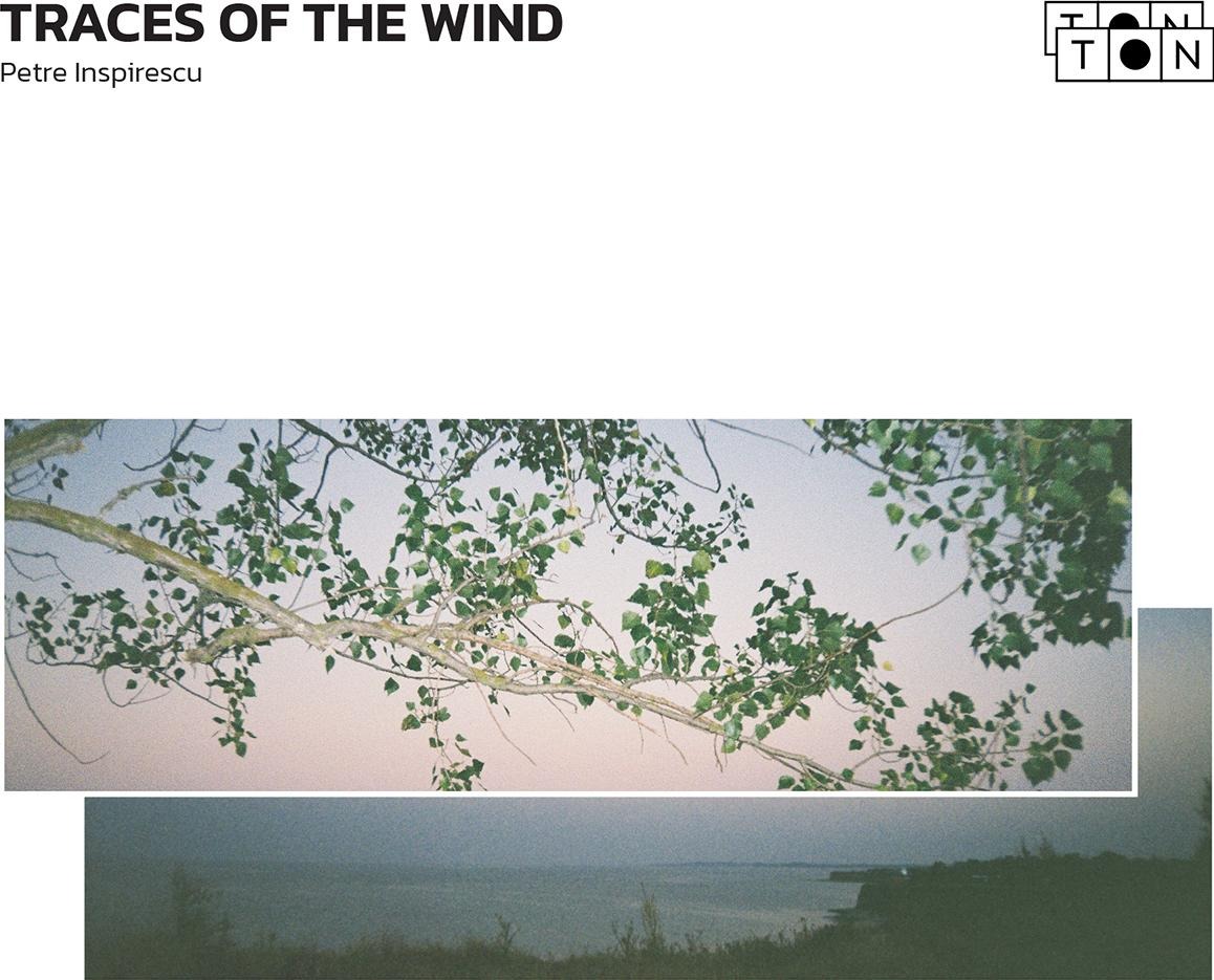 CD Shop - PETRE INSPIRESCU TRACES OF THE WIND