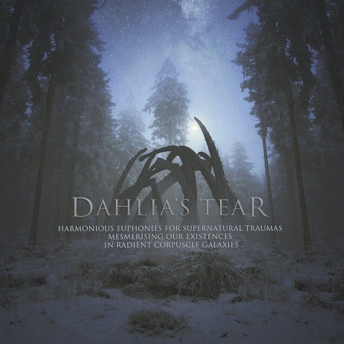 CD Shop - DAHLIA\