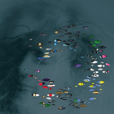 CD Shop - MODDI BRATEBRANN