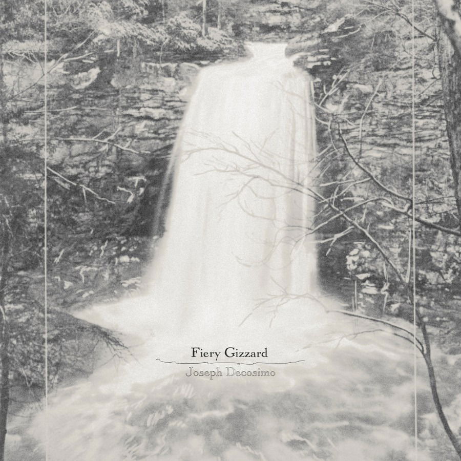 CD Shop - JOSEPH DECOSIMO FIERY GIZZARD