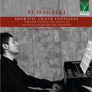 CD Shop - FERDINANDO ZUDDIO FUMAGALLI: OPERATIC GR...