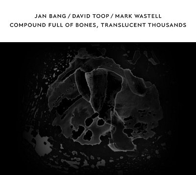 CD Shop - DAVID & JAN BANG & MARK WASTELL TOOP COMPOUND FULL OF BONES...