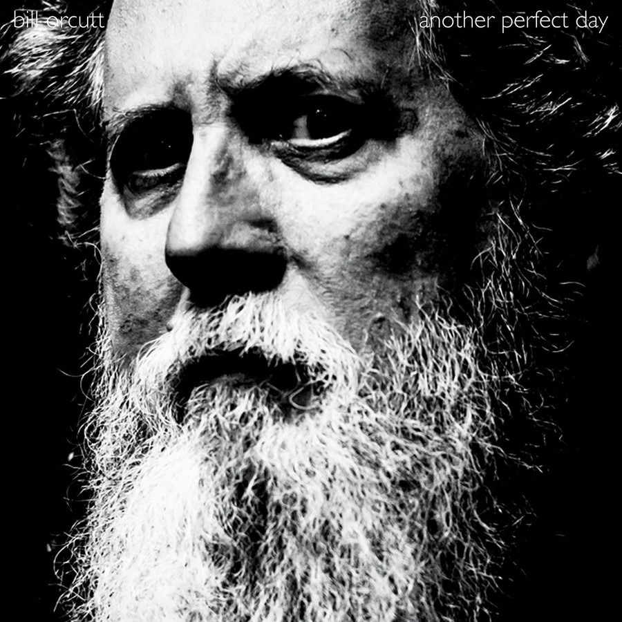 CD Shop - BILL ORCUTT ANOTHER PERFECT DAY