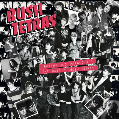 CD Shop - BUSH TETRAS RHYTHM AND PARANOIA: T...