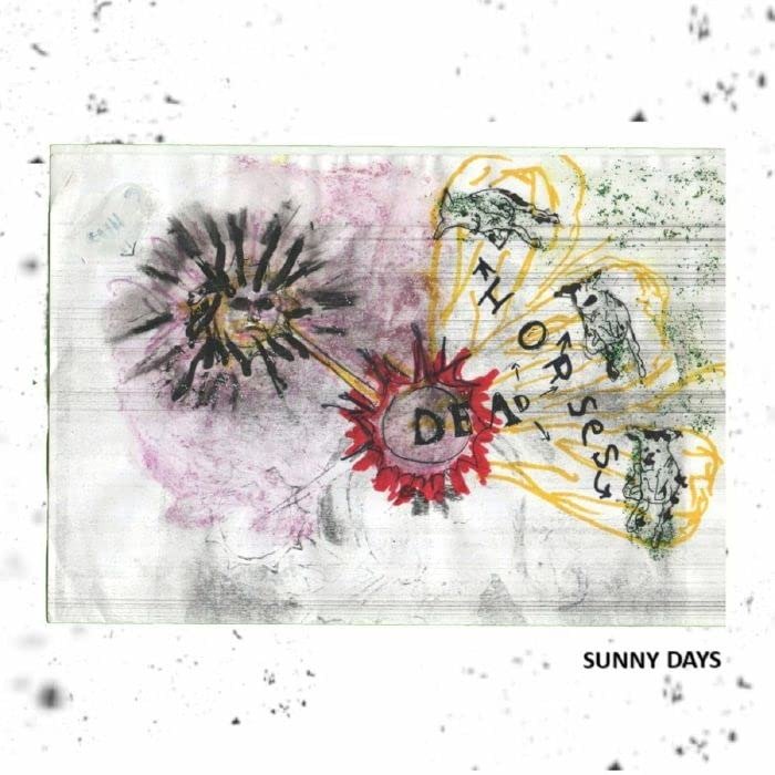 CD Shop - DEAD HORSES SUNNY DAYS