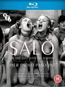 CD Shop -  SALO