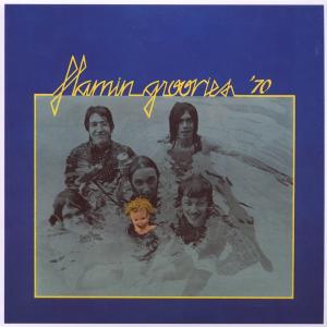 CD Shop - VARIOUS FLAMIN\