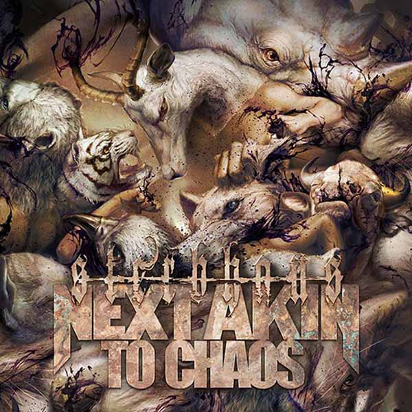 CD Shop - STERBHAUS NEXT AKIN TO CHAOS