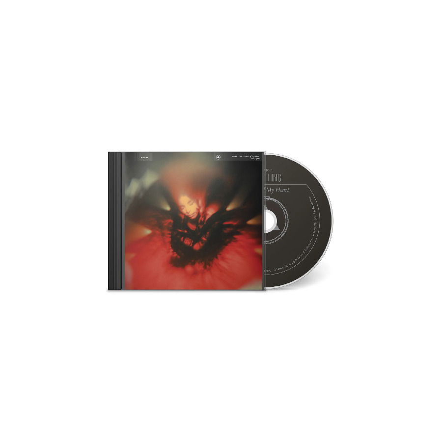 CD Shop - SPELLLING PORTRAIT OF MY HEART