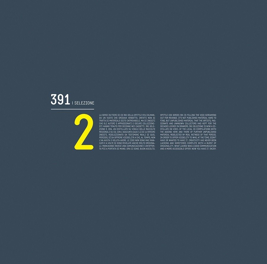 CD Shop - VARIOUS ARTISTS 391 SELEZIONE 2