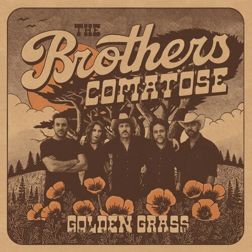 CD Shop - THE BROTHERS COMATOSE GOLDEN GRASS