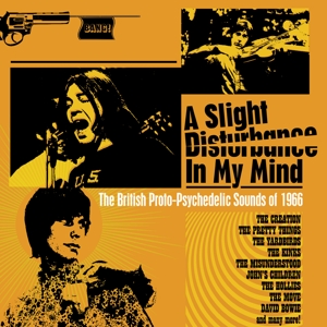 CD Shop - VARIOUS ARTISTS A SLIGHT DISTURBANCE I...