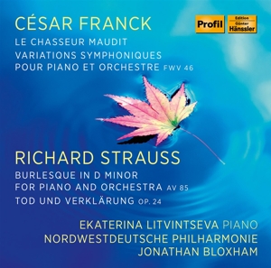 CD Shop - EKATERINA LITVINTSEVA PIANO WORKS