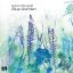 CD Shop - ANTON MANGOLD BLUE GARDEN