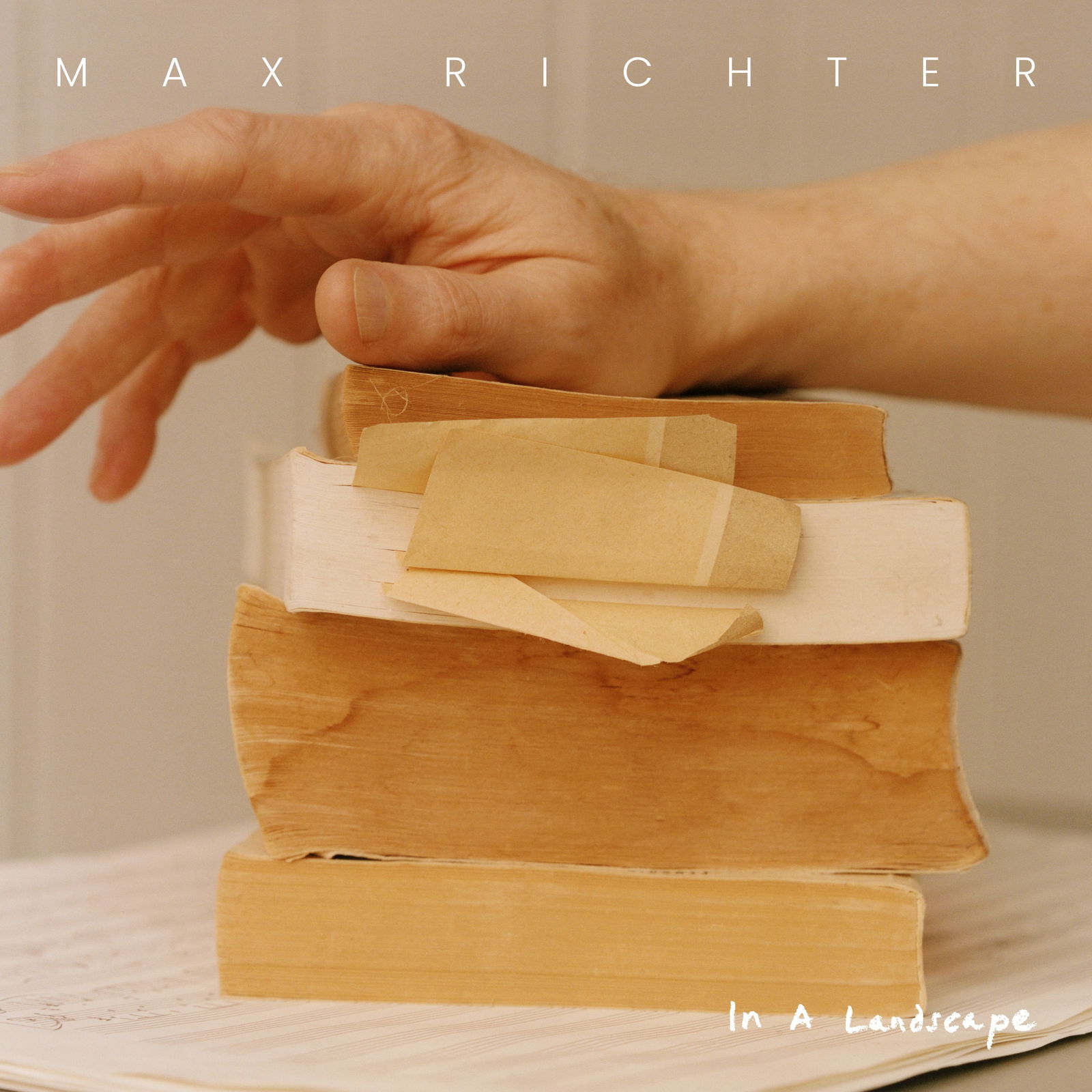 CD Shop - MAX RICHTER IN A LANDSCAPE