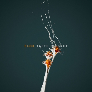 CD Shop - FLOX TASTE OF GREY