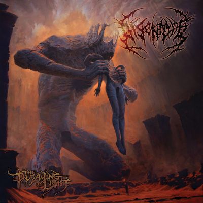 CD Shop - DISENTOMB DECAYING LIGHT