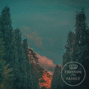 CD Shop - FRIENDS OF THE FAMILY FRIENDS OF THE FAMILY