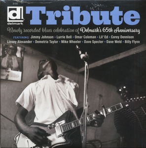 CD Shop - VARIOUS TRIBUTE: NEWLY RECORDE...