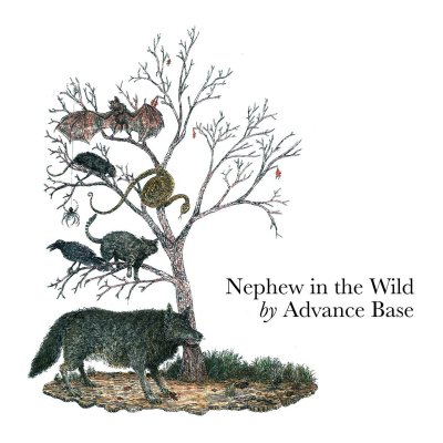 CD Shop - ADVANCE BASE NEPHEW IN THE WILD