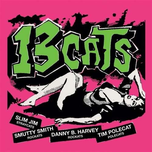 CD Shop - 13 CATS 13 TRACKS