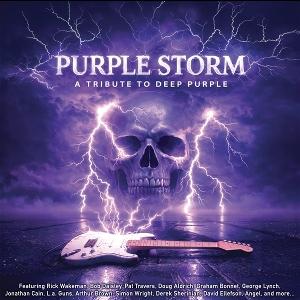 CD Shop - VARIOUS ARTISTS PURPLE STORM- TRIBUTE TO DEEP PURPLE