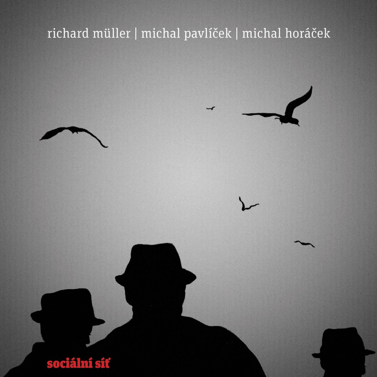 CD Shop - MULLER RICHARD SOCIALNI SIT