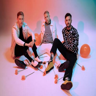 CD Shop - FLAWES ONE STEP BACK, TWO STE...