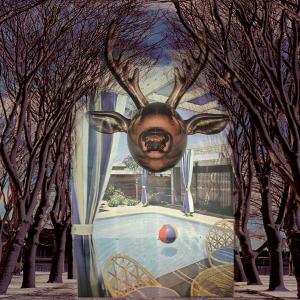 CD Shop - HALL OF FAME PARADISE NOW