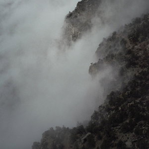CD Shop - LIKE RATS II