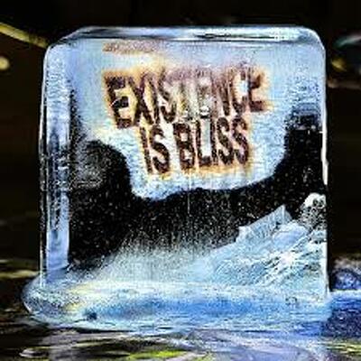 CD Shop - DEADLETTER EXISTENCE IS BLISS
